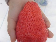 ~Y^R̃AOX^[XyVւ̓eʐ^4