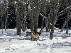 sisíijmlC`[ItBXւ̓eʐ^1