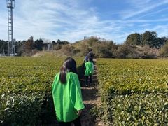 ݂т̃}^JN䐻uxmRTeap[Nvւ̓eʐ^1