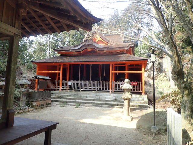 �}�C�a�n�n����̔ѓ��_�Ђ̓��e�ʐ^1