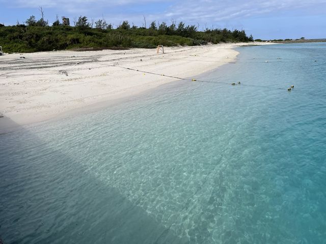 ���[���̕l�ӂ��L���C�߂��B_DS natura