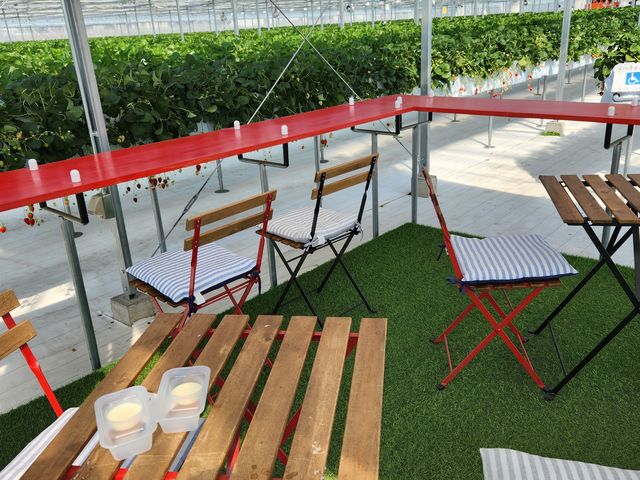 �����t�߂̈֎q_�_���N�o���Y�t�@�[��