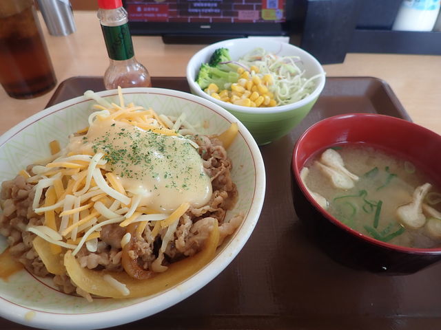 }Cann̂ ʒ˖{X̓eʐ^1