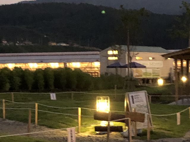 ��̕��i_���^�~�I�[�K�j�b�N�����h