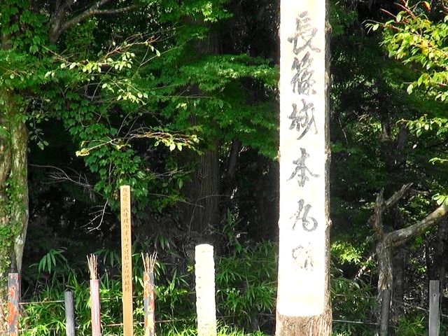 �L��̒���{�ېՁB_���隬�j�Օۑ���