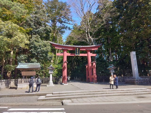 �������͂����������ނ̂ł��傤�B_�\�F�_��