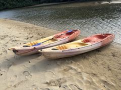 FZ6estima̐Ί_GRcA[VbvI[pւ̓eʐ^1