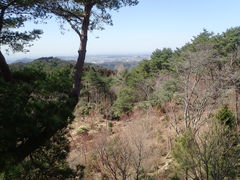 �}�C�a�n�n����̖���R�ւ̓��e�ʐ^1