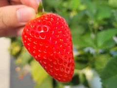 asumĩqt@[ւ̓eʐ^1