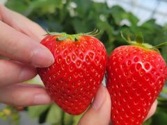 asumĩqt@[ւ̓eʐ^2