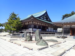 �}�C�a�n�n����̖���R�V�㎛�ւ̓��e�ʐ^1