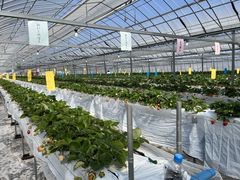 Ȃځ[̂ɂ̂ւ̓eʐ^1