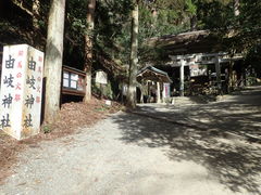 }Cann̗R_Ђւ̓eʐ^1