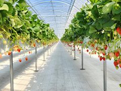 mu[̃_NoYt@[ւ̓eʐ^2