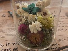 ۂ񂳂̃{^jJCtM[ւ̓eʐ^1