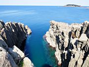 �������񂳂�̓��q�V�̓��e�ʐ^2