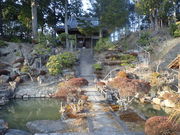 �}�C�a�n�n����̖������̓��e�ʐ^1