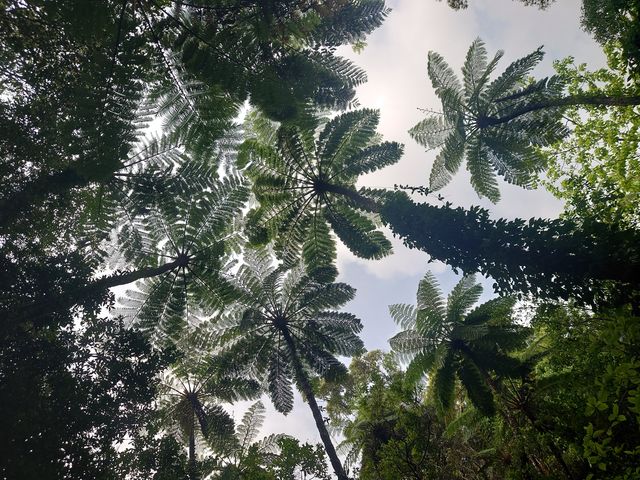 ���Ȃ��݂̃X�|�b�g_�����g���b�N