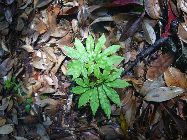 ���E�Ώ̂���Ȃ��Ɛ����ł��Ȃ��A��_�����g���b�N