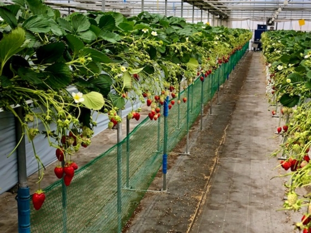 �o���A�t���[_�O�����������ّO�c