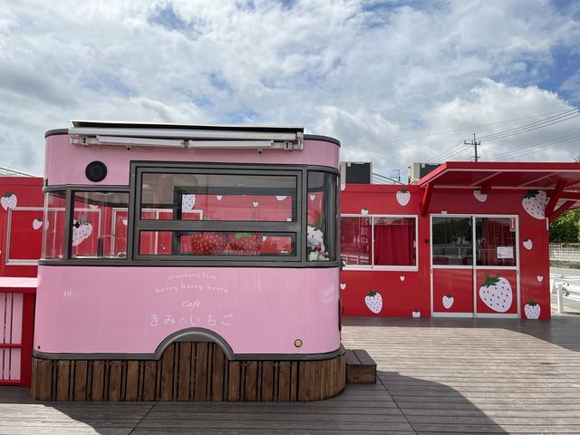 �����ڂ�����_�X�g���x���[�t�@�[��BERRYBERRYBERRY