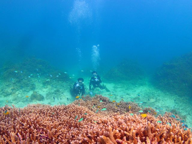 ���̂悤�Ȏʐ^��7�`9�����炢�B���Ă��炢�܂����B�ǂ��v���o�ł��B_marine house ��܂񂮂��`