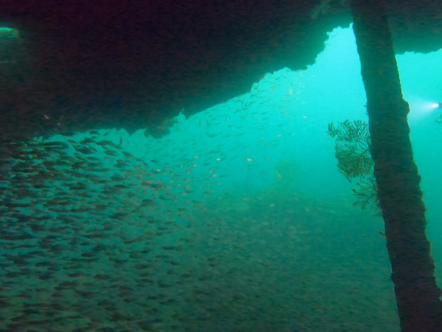 ���D���́A�����Q��Q��_�A�g���G���E�g