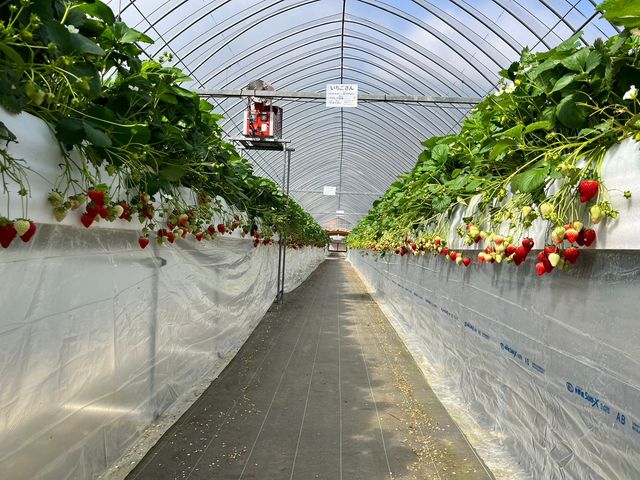 ���n��������������������Ă܂����B_�ԍՂ������̒J