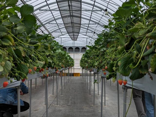 �[����[�܂ōL���y���߂܂�_�X�c��������