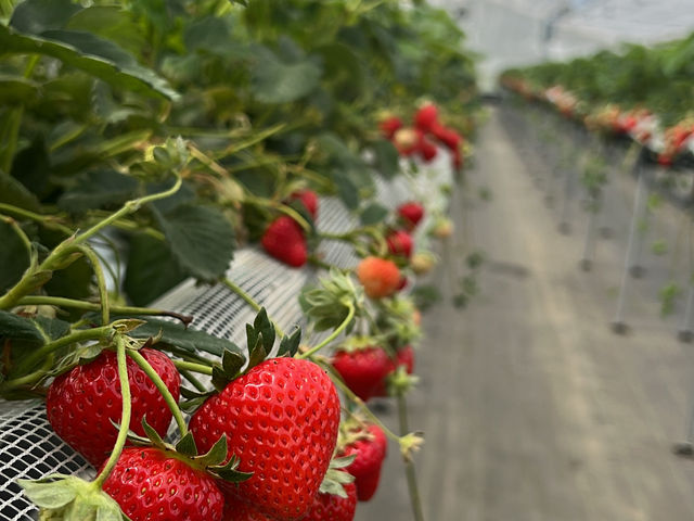 �������������ł�





���΂炵���I�I�I                      _�����_��