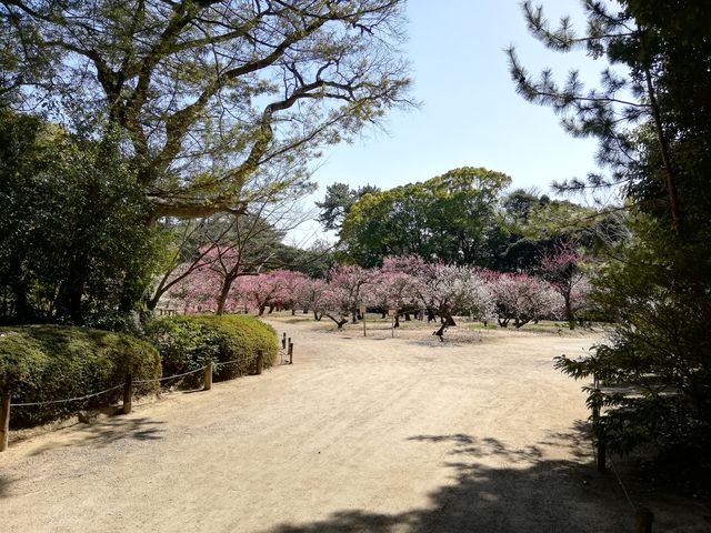 �i�㋴��n��Ɩk�~�т������Ă��܂��B_�I�ь����̔~