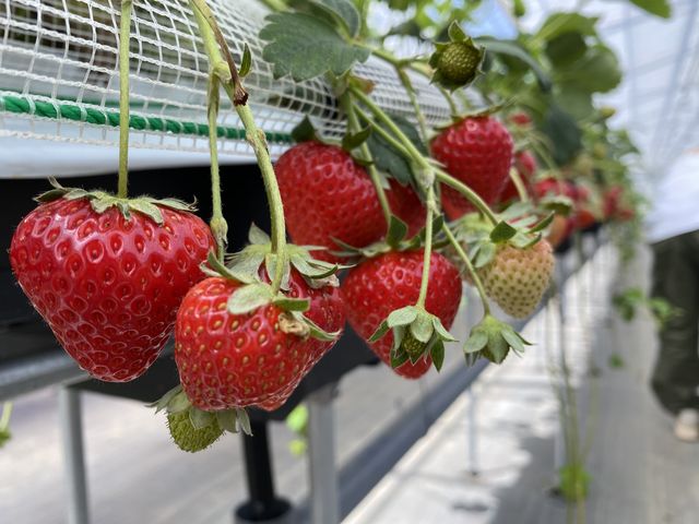 ������_�����_��