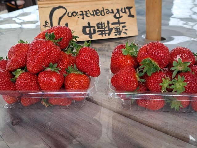 ���������āA������������_�܂ق�t�@�[��