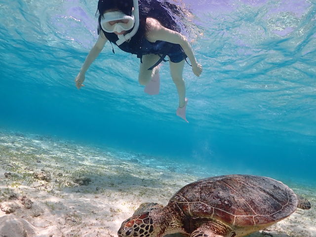 �E�~�K��_Lilo Miyakojima