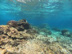 HASEBEmarine assist DEMIւ̓eʐ^1