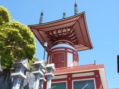 �g�V���[����̖򉤎��@��_���@�ւ̓��e�ʐ^1