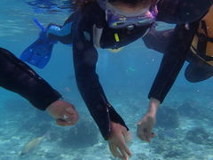 VR̐̓A@Dive@ւ̓eʐ^1