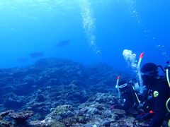 ݂̐Ί__CrOVbv@ABCdiveւ̓eʐ^1