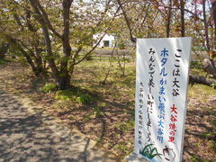 �g�V���[����̑�J�Ă̗��ւ̓��e�ʐ^1