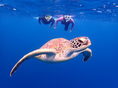 ������񂳂�̐Ί_���}�����T�[�r�X�߂̉��Ԃ��ւ̓��e�ʐ^1