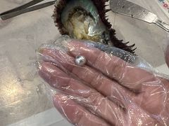 q̐^삾̌@a{^Xւ̓eʐ^1