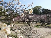 ̂肳̌Iь̔~̓eʐ^1