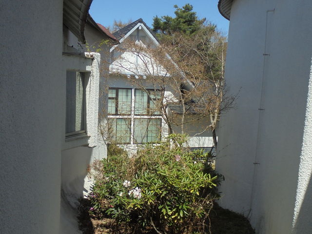 �������R�h�O�L�O�ف@���p�ق̋��𓾂ĎB�e�@�N�`�R�~���e�Y�t�ʐ^��OK�ł���_���R�h�O���p��