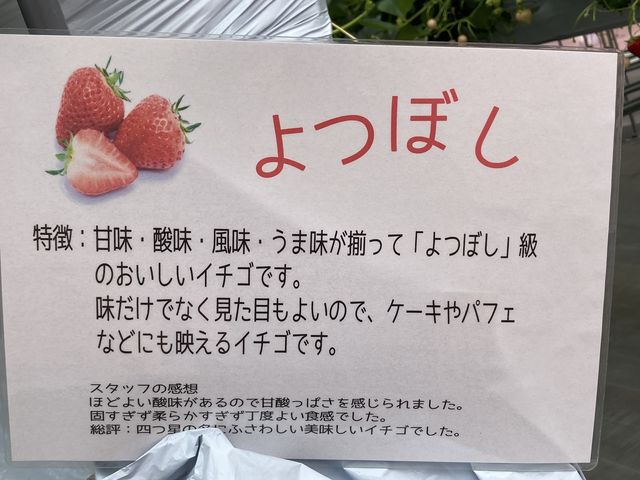 �킩��₷���|�b�v���\���Ă���܂�_�X�g���x���[�t�@�[��BERRYBERRYBERRY