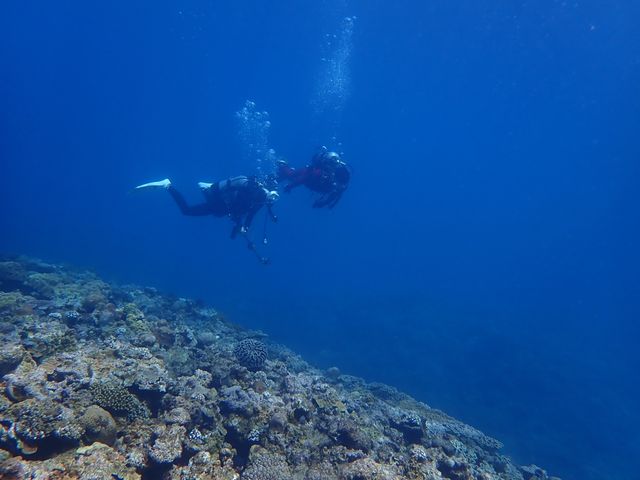 �p��2_�����哇�k���@���܂݂��_�C�o�[