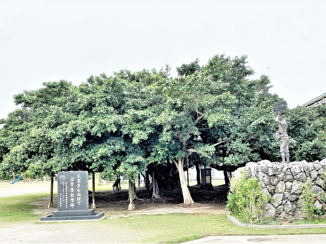 �Z�呤���猩���K�W���}���̖�_���{��̃K�W���}��