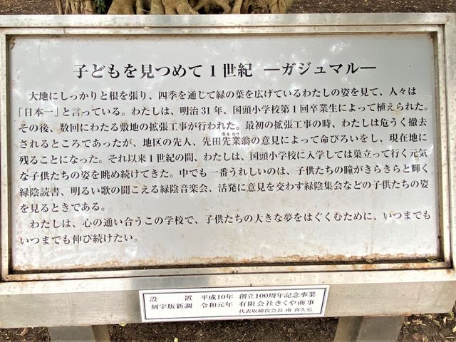 �u�q�ǂ������߂�1���I -�K�W���}�� -�v�����_���{��̃K�W���}��