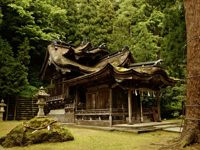 񂳂̎c__ЁE_Ђ̓eʐ^1