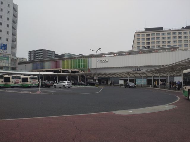 �O��_�i�q�ޗǉw