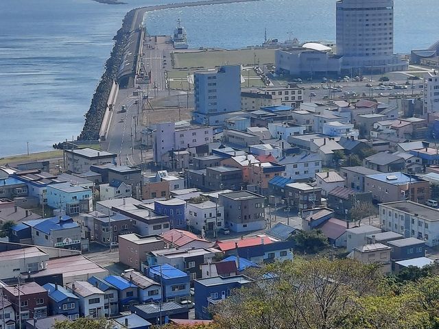 �t�������y����z����t���`��]��_�t���`